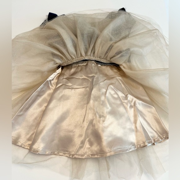 Biscotti Navy and Lace Champagne Tulle Dress with Bow, Girls 2T - Like New - Picture 7 of 8